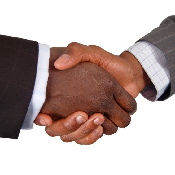This is an image of two business hands performing a handshake.